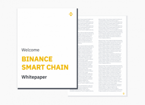 Binance Smart Chain