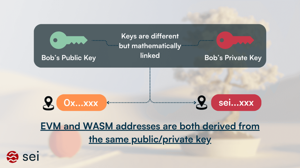 User Accounts on Sei