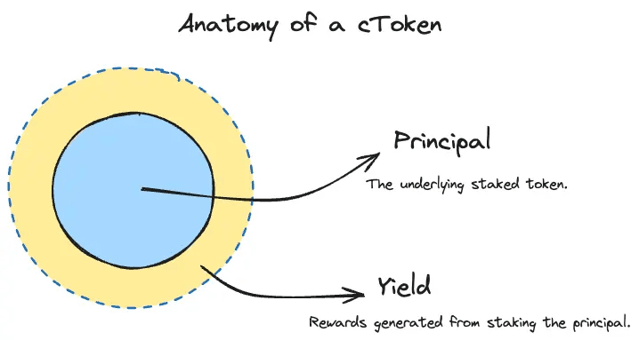 Anatomy of a cToken