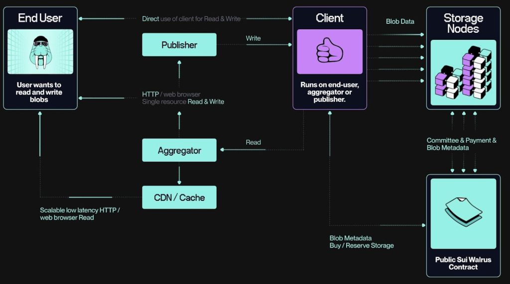 Defining Walrus: Beyond Basic Storage