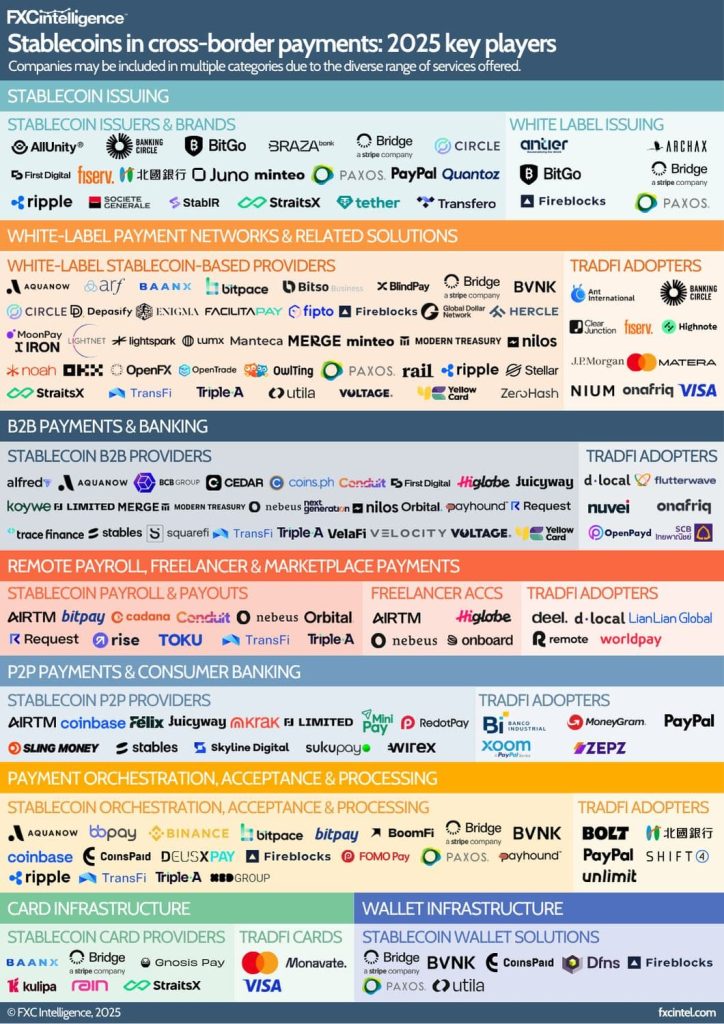 This chart is a high‑level illustration of the 2025 stablecoin ecosystem and should not be read as a precise or exhaustive listing of current offerings.