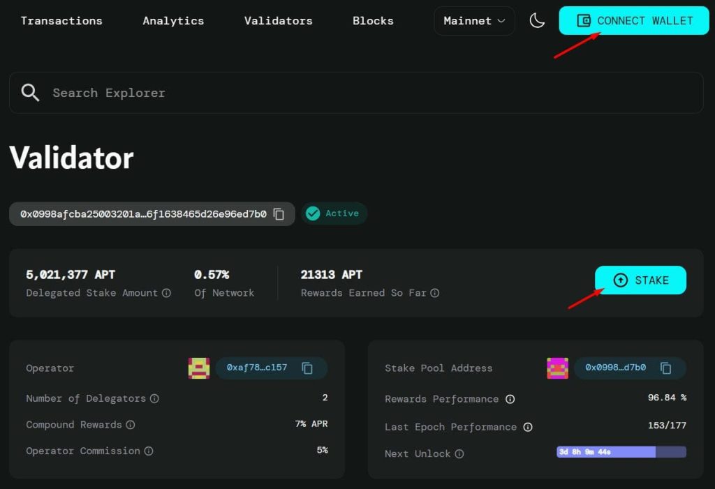Delegate Your Stake to a Validator